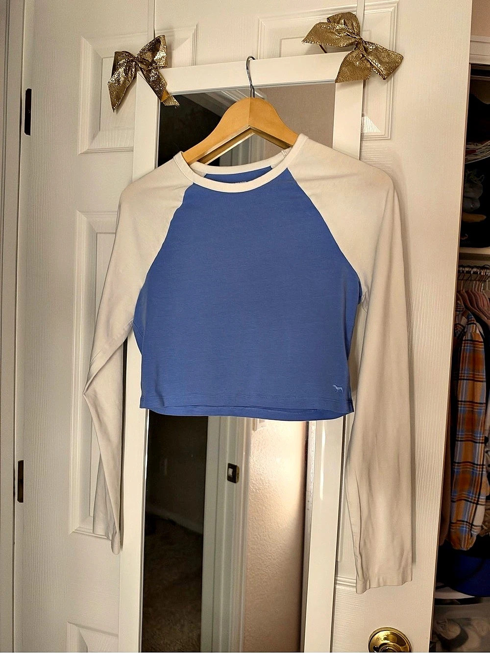 PINK Color Block Long Sleeve Top in Blue & White Like New